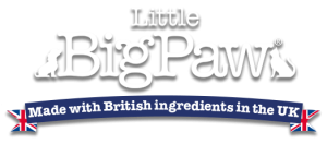 little-big-paw-logo-new-mobile